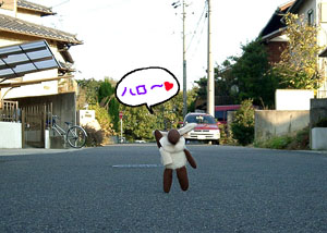 _comちゃん.jpg